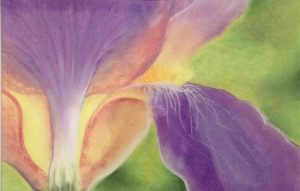 Pastel Iris