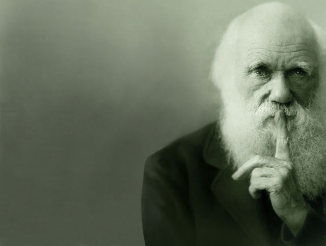 What Darwin Never Knew by NOVA