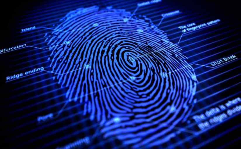 Fingerprint Blog