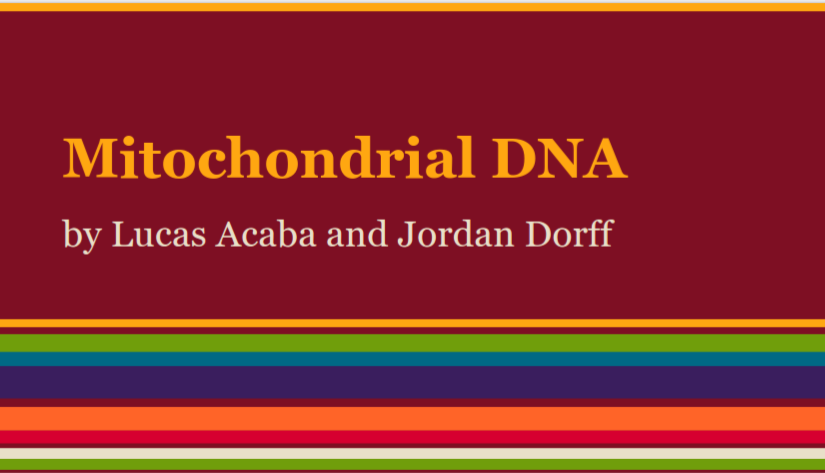 Mitochondrial DNA