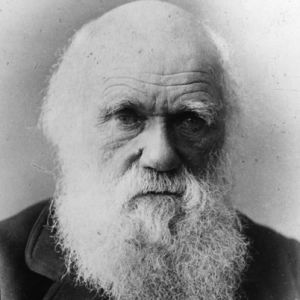 What Darwin Didn’t Know