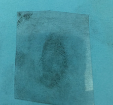 Fingerprinting Blog